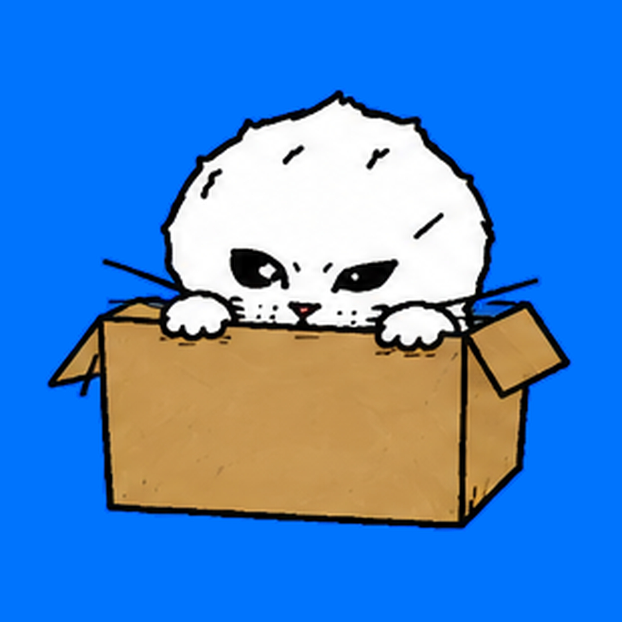 Elycat peeking from a box